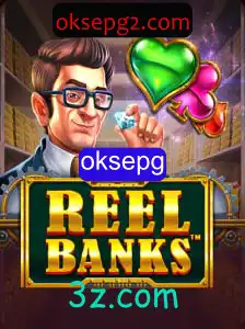 Desvendando ReelBanks: O Guia Completo para Iniciantes